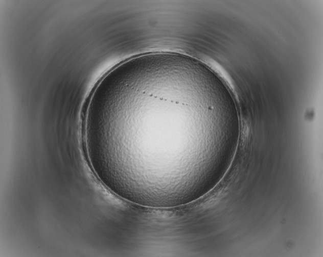 X0000090451096200707201308