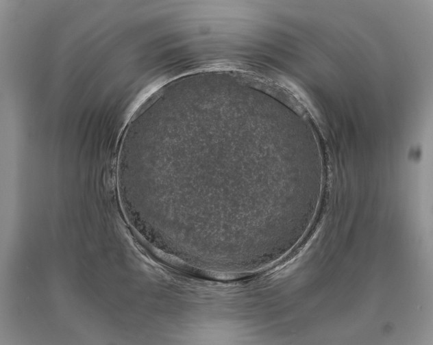 X0000090451097200707201308