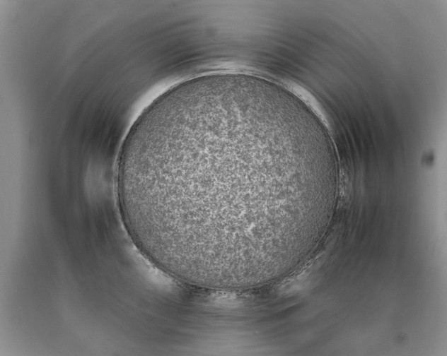 X0000090451098200707201308
