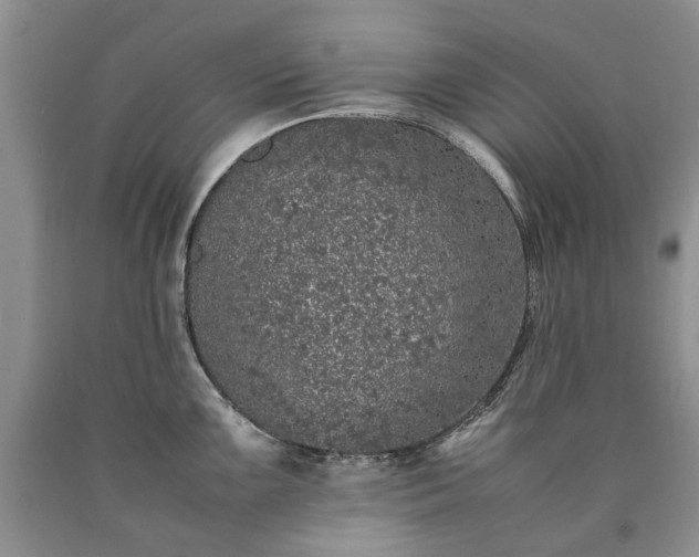 X0000090451099200707201308