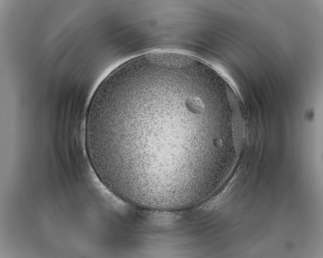 X0000090451100200707201308