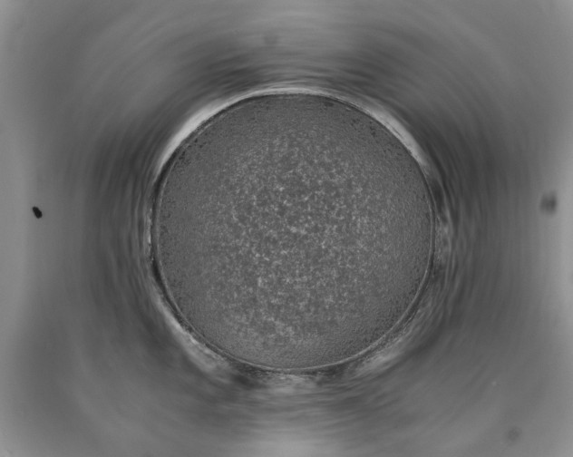X0000090451101200707201308