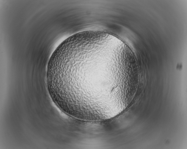 X0000090451103200707201308