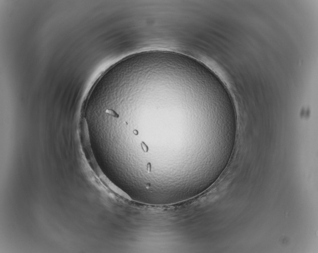 X0000090451104200707201308