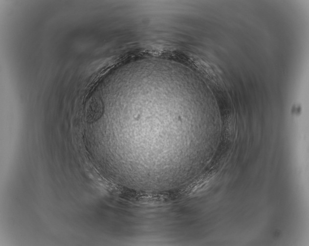 X0000090451105200707201308