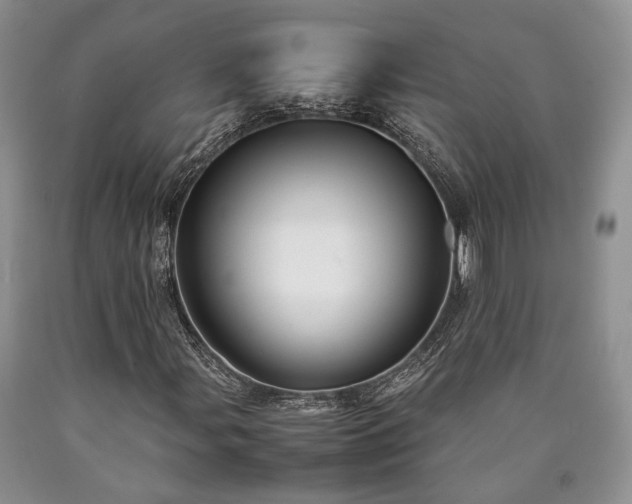 X0000090451107200707201308
