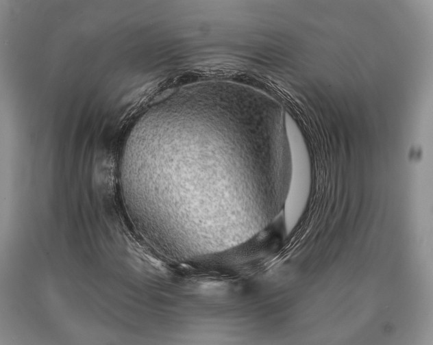 X0000090451108200707201308