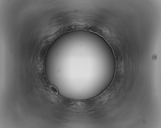 X0000090451109200707201308
