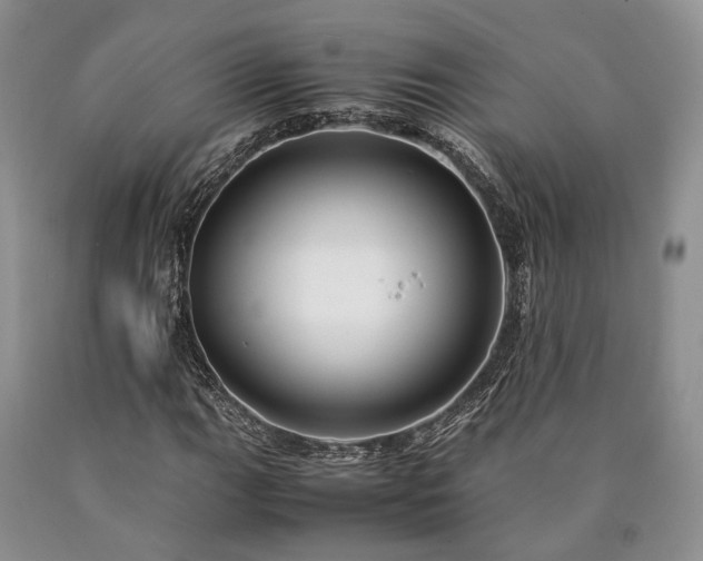 X0000090451111200707201308
