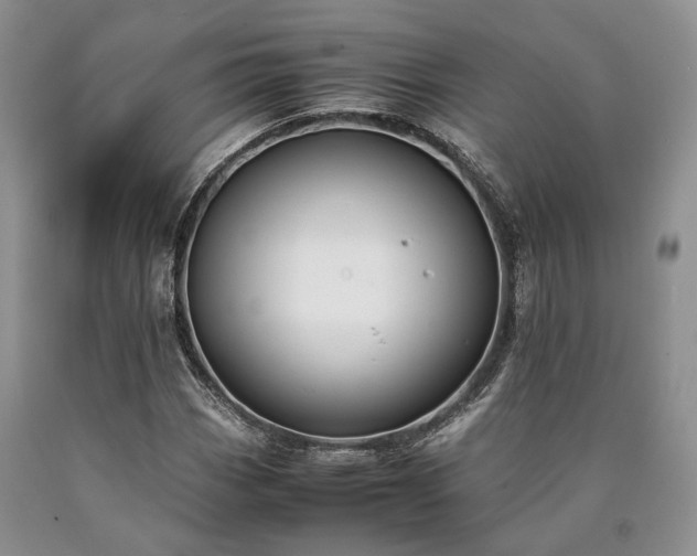 X0000090451113200707201308