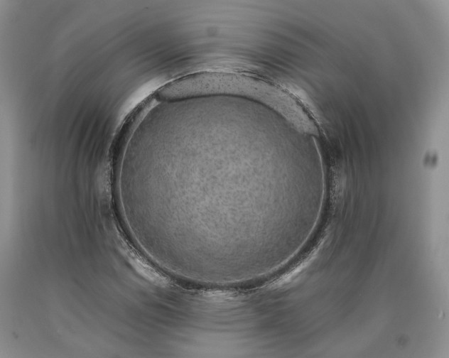 X0000090451114200707201308