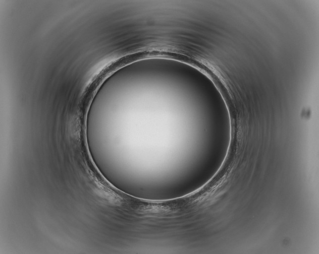 X0000090451115200707201308