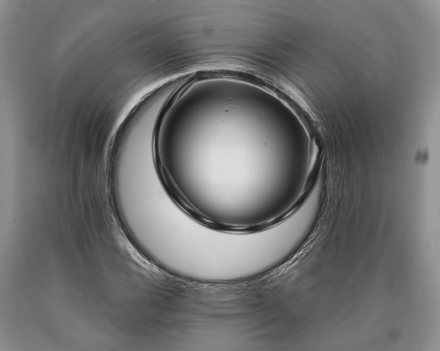X0000090451116200707201308