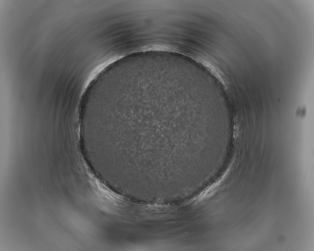 X0000090451117200707201308