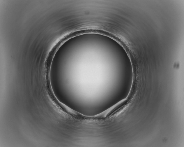 X0000090451118200707201308