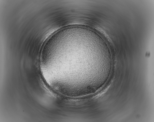 X0000090451121200707201308