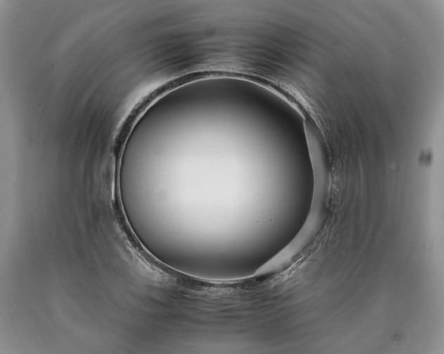 X0000090451123200707201308