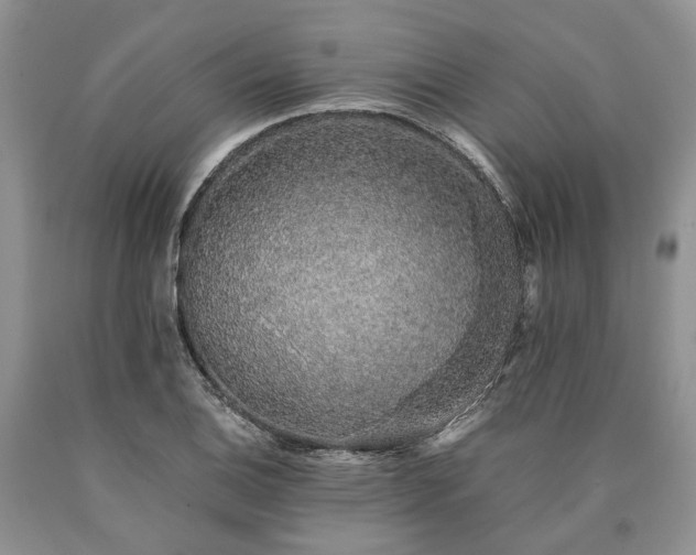 X0000090451124200707201308