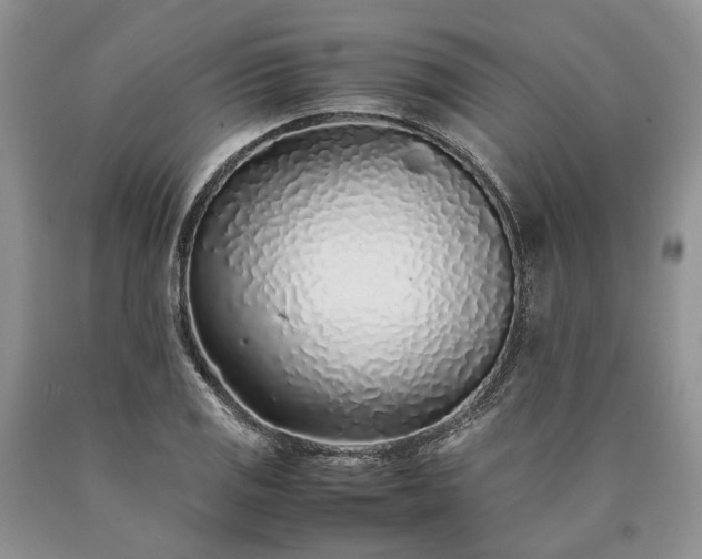 X0000090451125200707201308