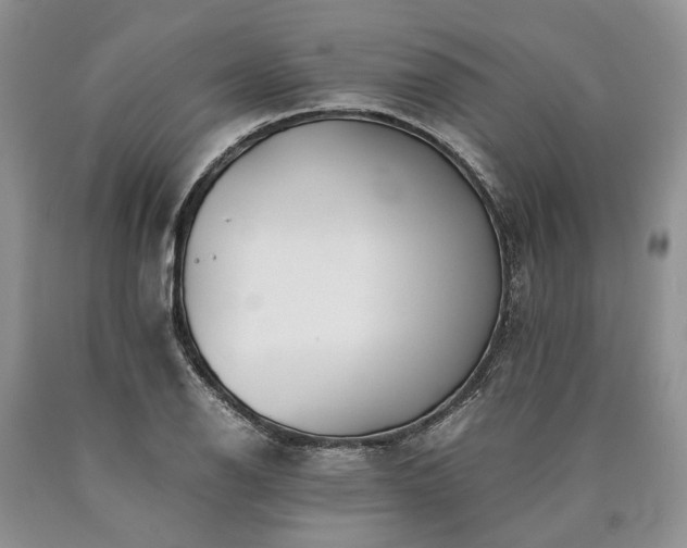 X0000090451126200707201308