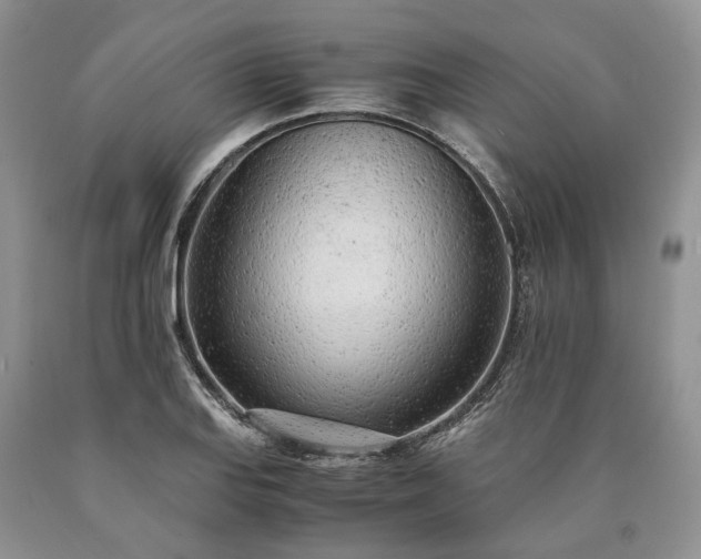 X0000090451127200707201308