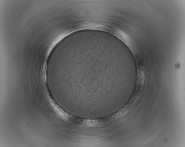 X0000090451128200707201308