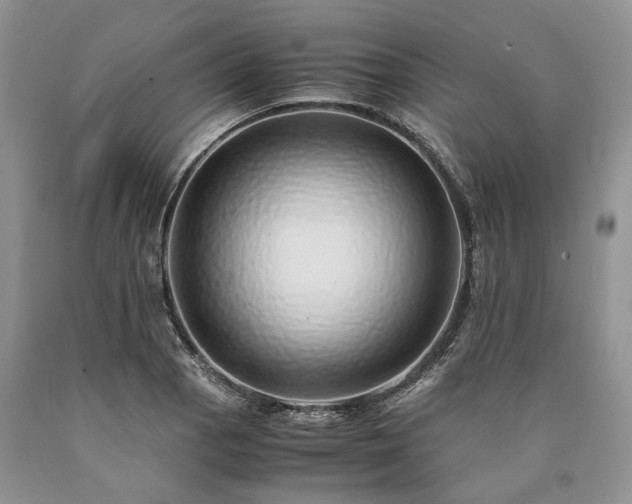 X0000090451129200707201308