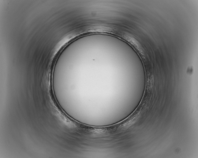 X0000090451130200707201308