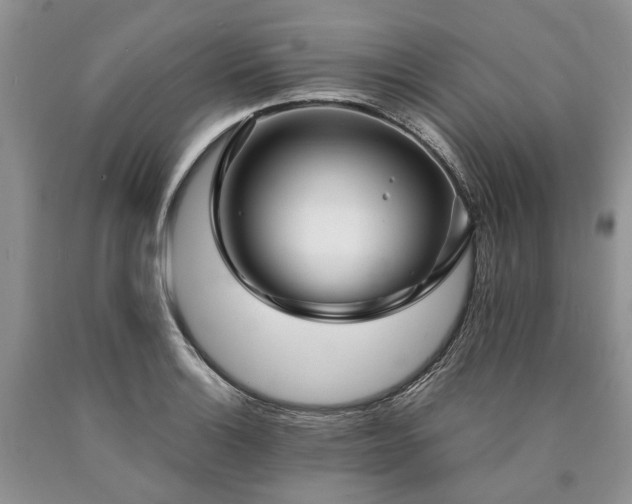 X0000090451132200707201308