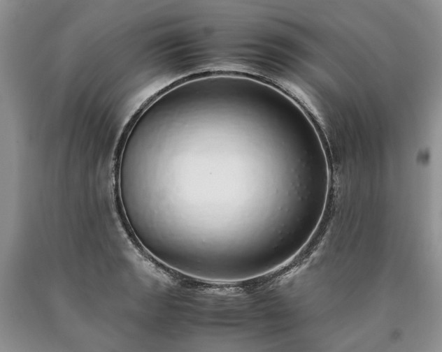 X0000090451133200707201308