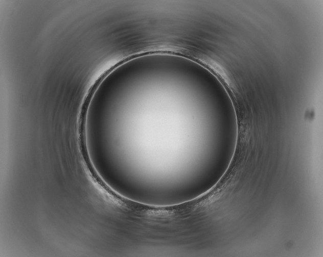 X0000090451135200707201308