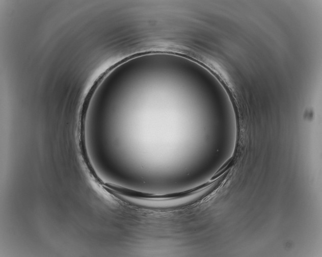 X0000090451136200707201308