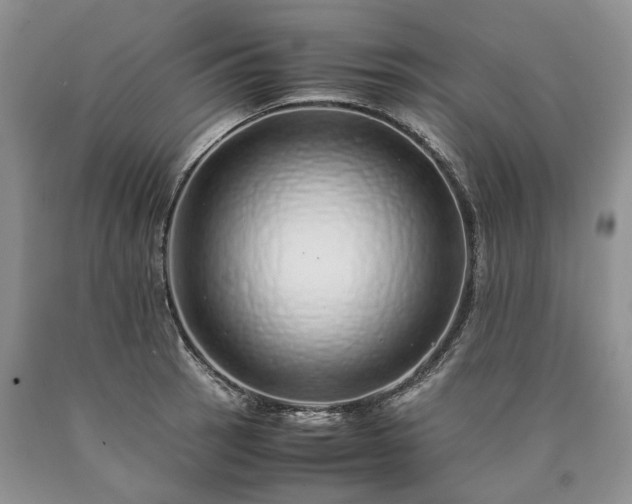 X0000090451137200707201308
