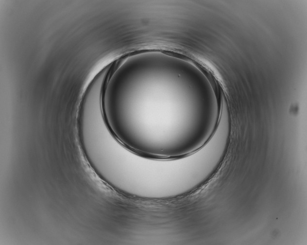 X0000090451138200707201308