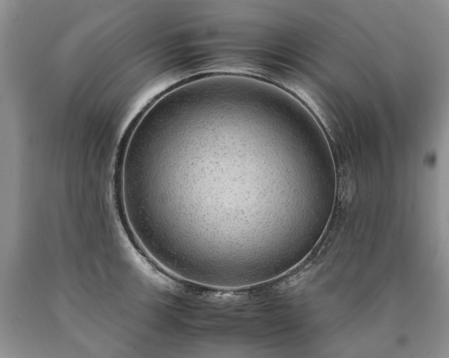 X0000090451139200707201308