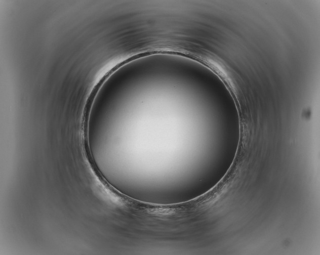 X0000090451141200707201308