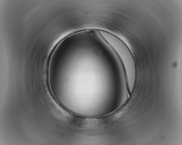 X0000090451142200707201308