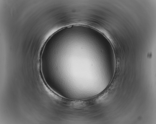 X0000090451143200707201308
