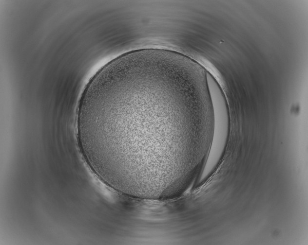 X0000090451144200707201308