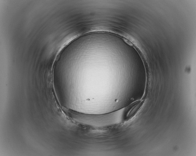 X0000090451145200707201308