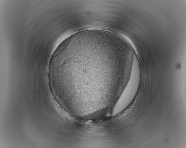X0000090451146200707201308