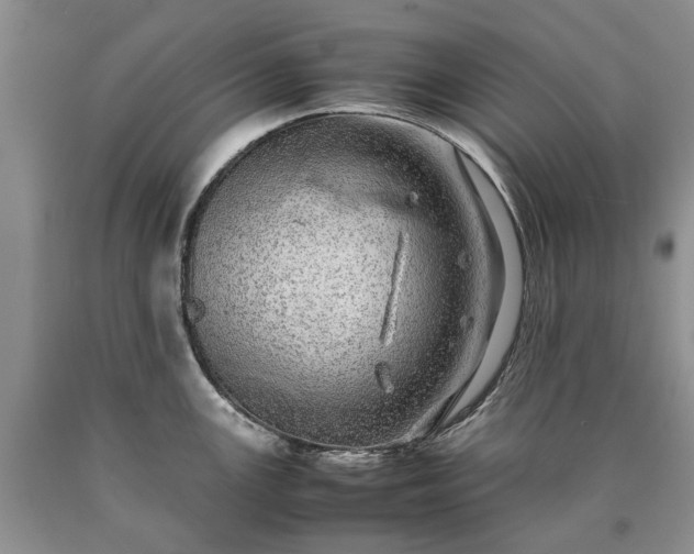 X0000090451147200707201308