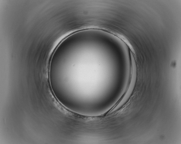 X0000090451148200707201308
