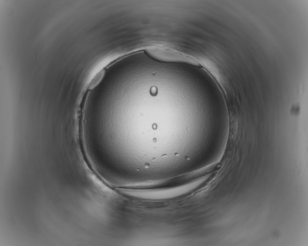 X0000090451151200707201308