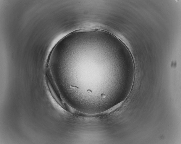 X0000090451152200707201308