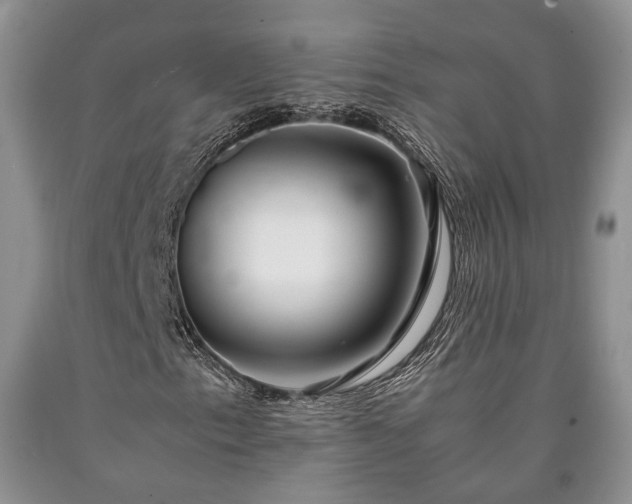 X0000090451153200707201308