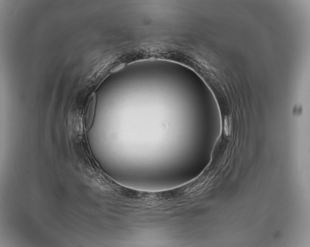 X0000090451155200707201308