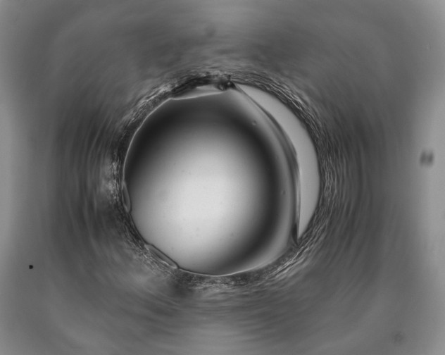 X0000090451156200707201308