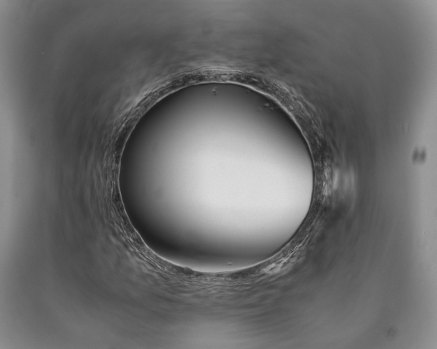 X0000090451157200707201308