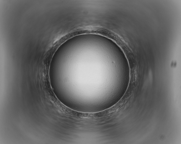X0000090451158200707201308